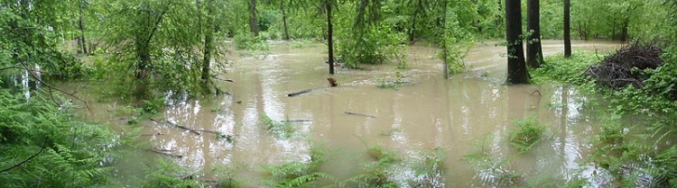 Samota Beran u Borovan. Foto Jana Voříšková