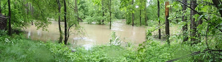 Samota Beran u Borovan. Foto Jana Voříšková