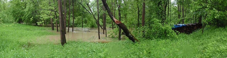 Samota Beran u Borovan. Foto Jana Voříšková