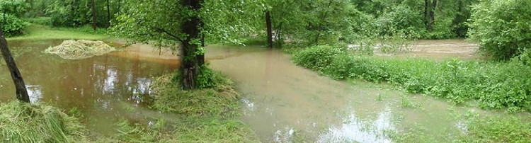 Samota Beran u Borovan. Foto Jana Voříšková