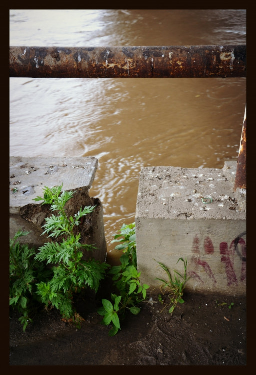 Pražské sídliště. Foto Linda Butulová