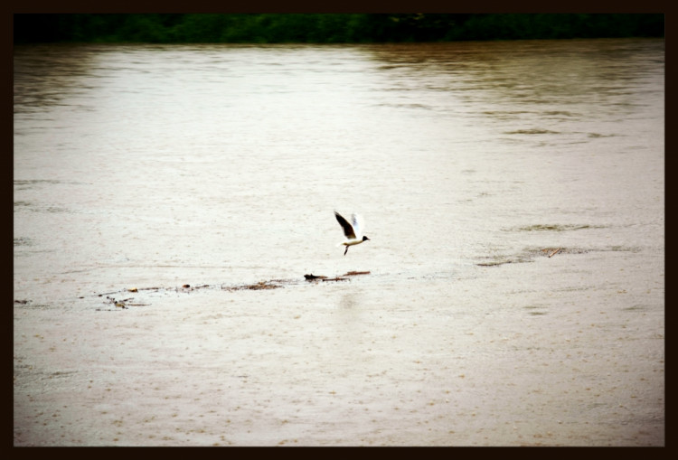 Pražské sídliště. Foto Linda Butulová