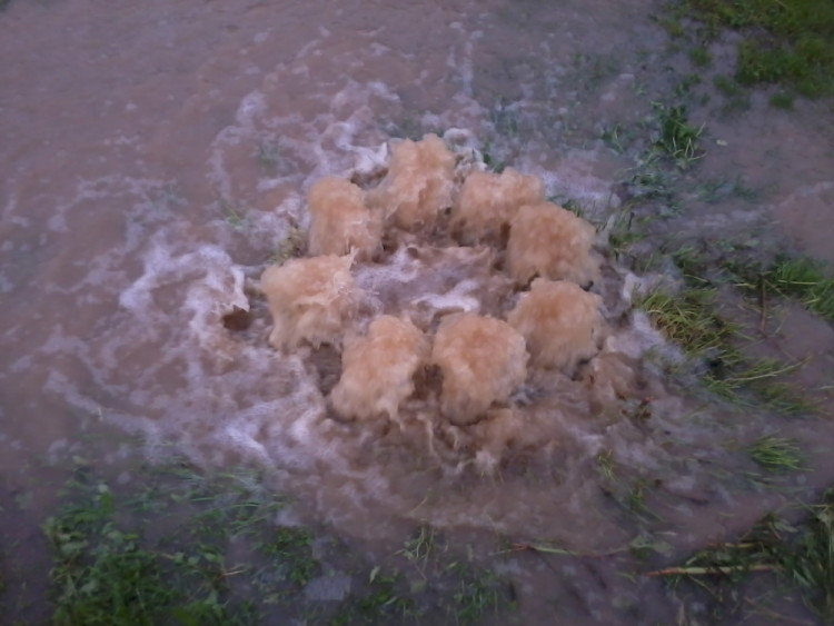 Hrdějovice. Foto Jakub Palma