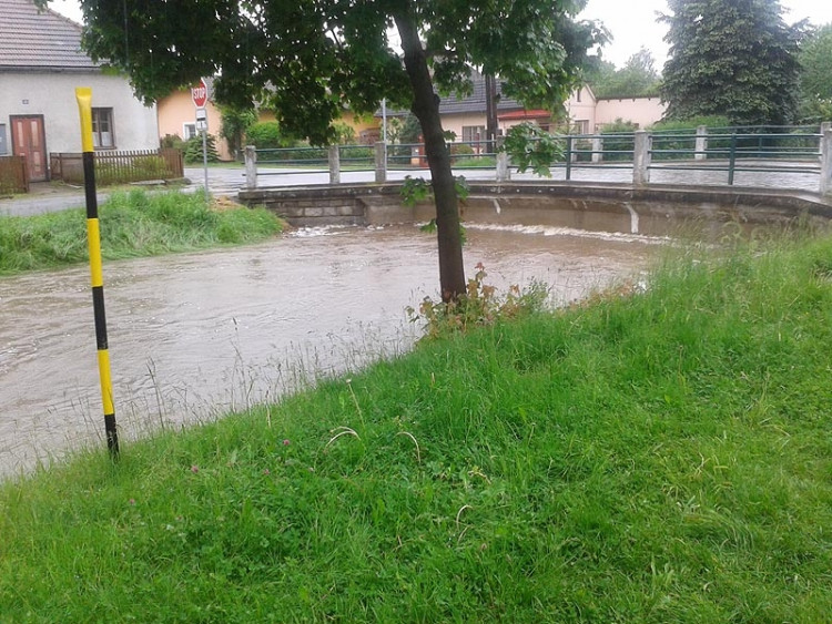 Trhové Sviny. Most u cesty k čističce. Foto Martin Buřič