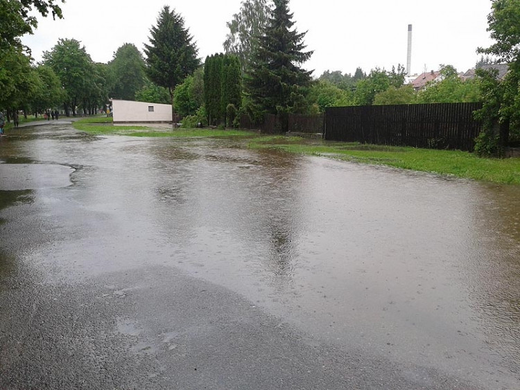 Trhové Sviny. Naproti sběrnému dvoru. Foto Martin Buřič