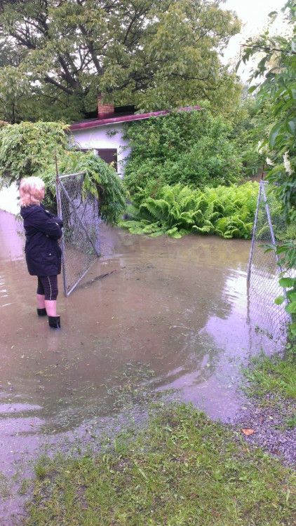 Rožnov. Foto Jan Novotný st.
