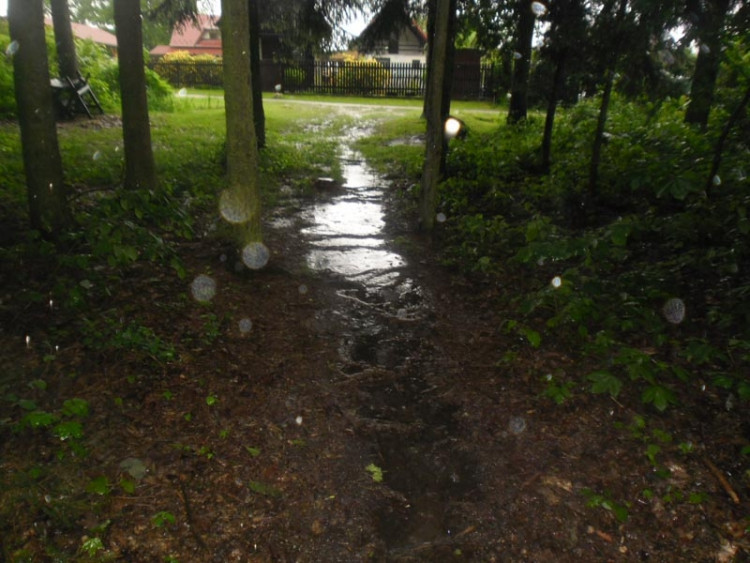 Janovka u Nových Hradů. Foto borova.siska2