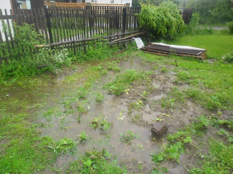 Janovka u Nových Hradů. Foto borova.siska2