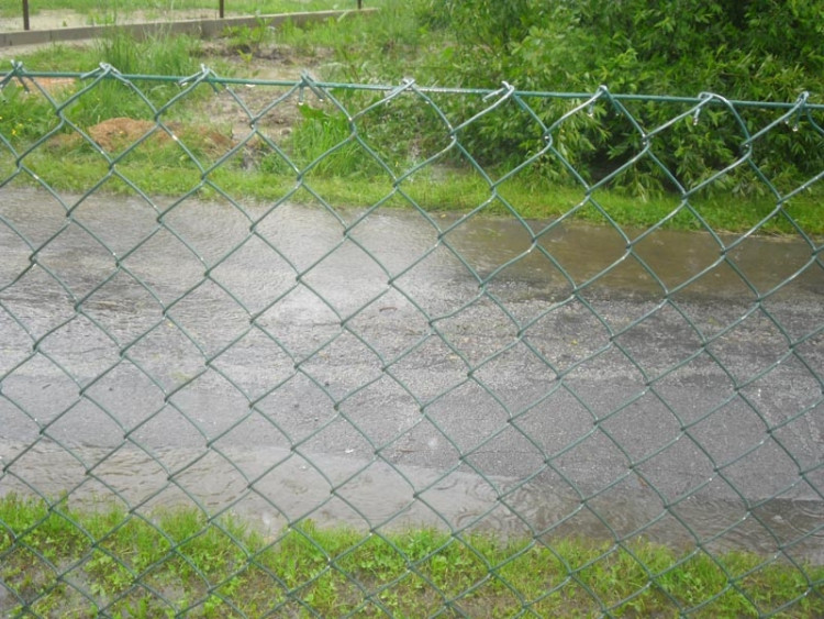 Janovka u Nových Hradů. Foto borova.siska2