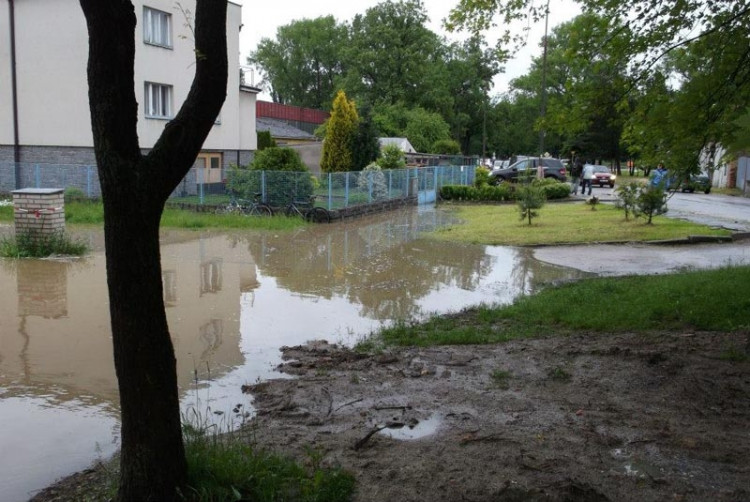 Veselí nad Lužnicí, Na benátkach směrem na Žíšov. Foto Veronika Žáková