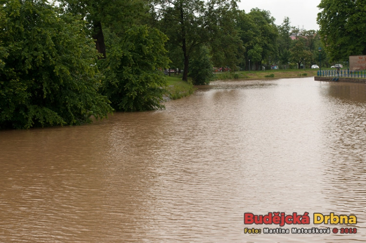 U Potrefené husy směrem k Slepému rameni