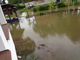 Spolský rybník, chatová oblast. Foto Milena Nováková