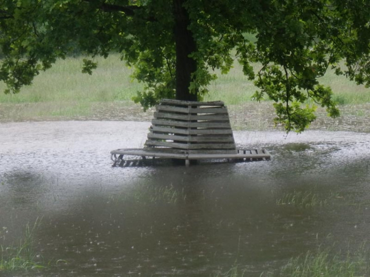 Stromovka. Foto Milan Pavlis