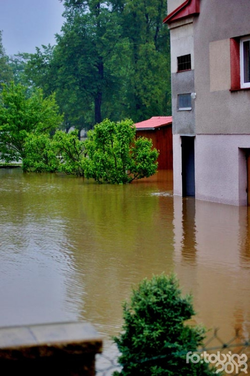 Plav. Foto Zdeněk Tobiáš