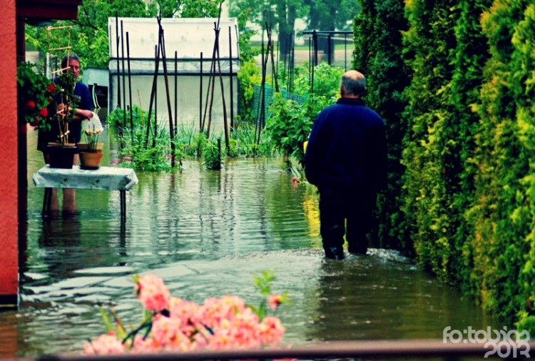 Plav. Foto Zdeněk Tobiáš