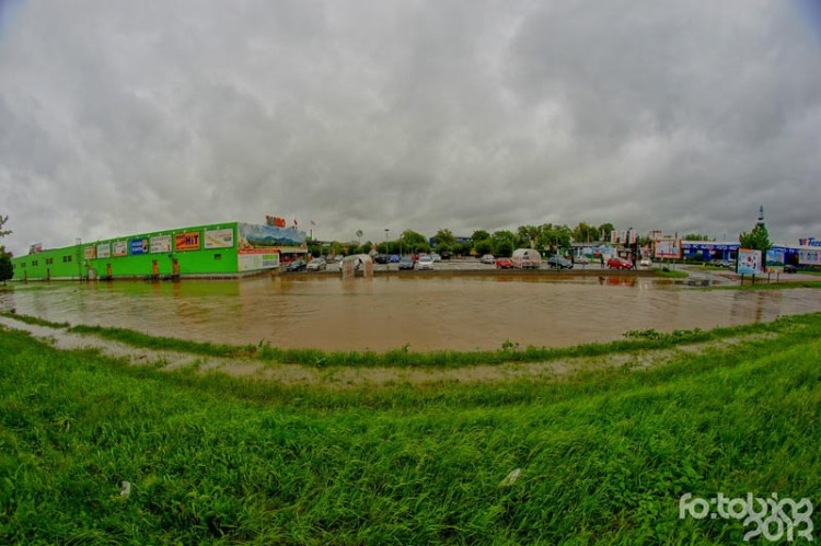 Terno. Foto Zdeněk Tobiáš