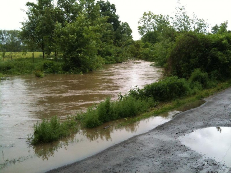 Planá. Foto Tomáš Pintér