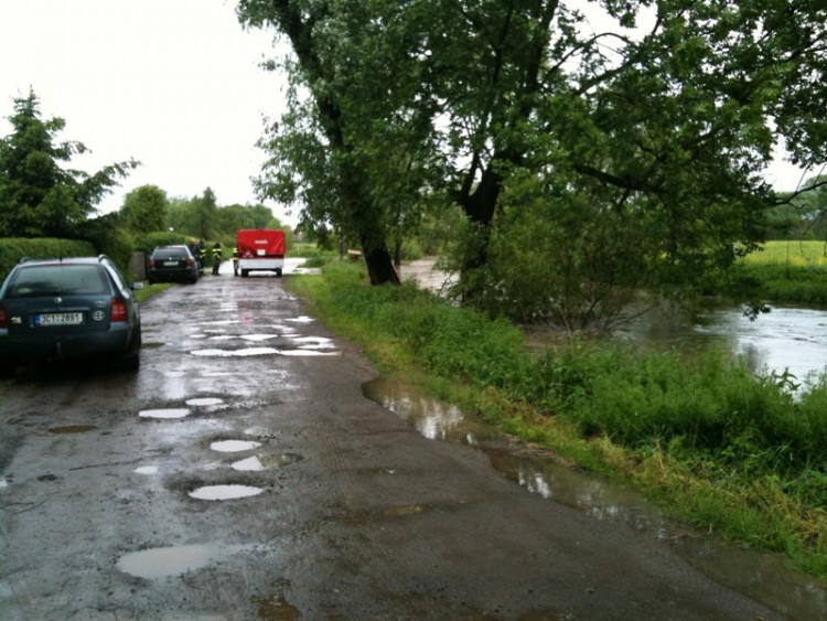 Planá. Foto Tomáš Pintér