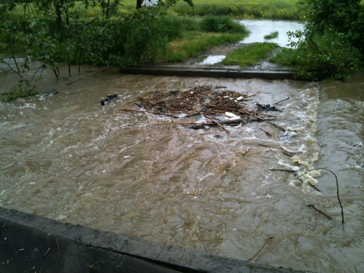 Planá. Foto Tomáš Pintér