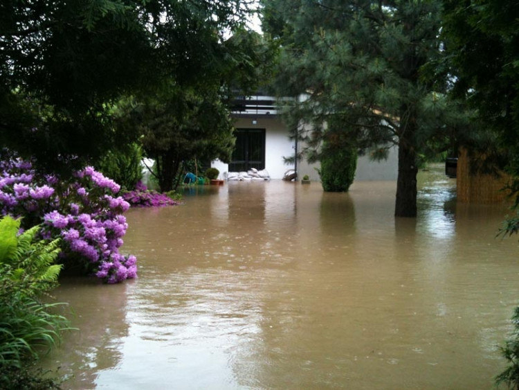 Planá. Foto Tomáš Pintér