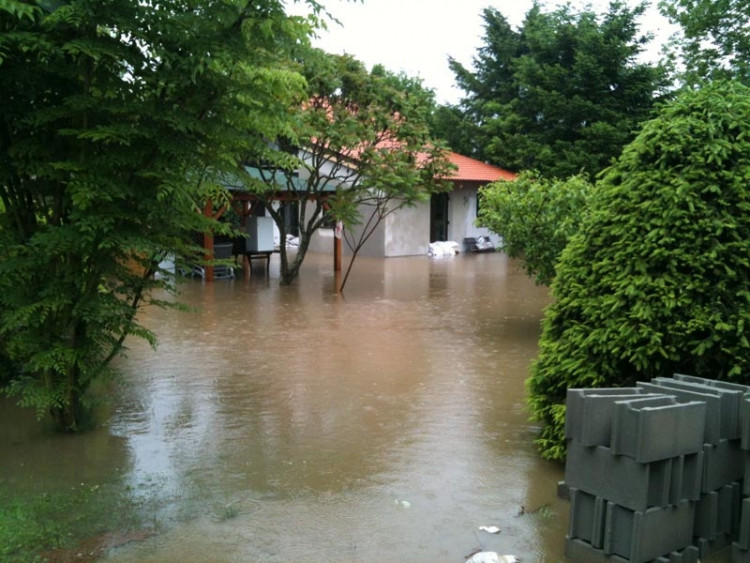 Planá. Foto Tomáš Pintér