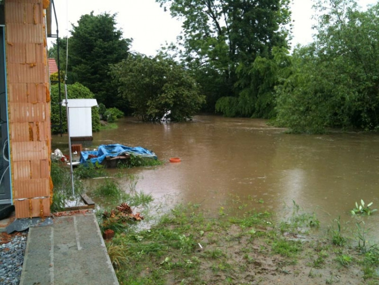 Planá. Foto Tomáš Pintér