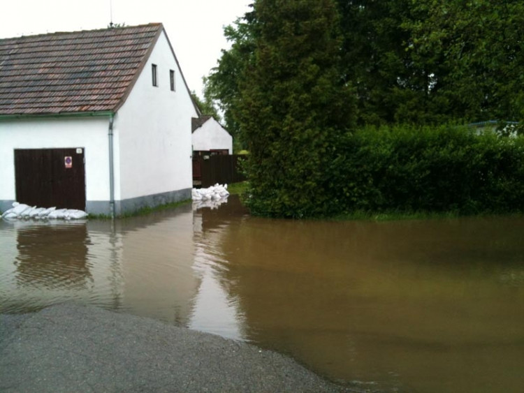 Planá. Foto Tomáš Pintér