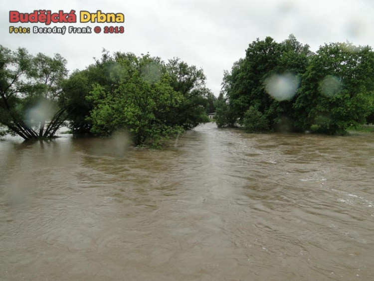 Řeka Malše v Roudném