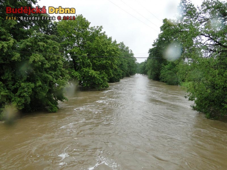Řeka Malše v Roudném