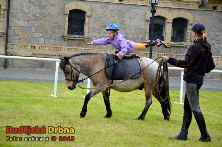 Den dětí v sedle ve Dvoře Vondrov