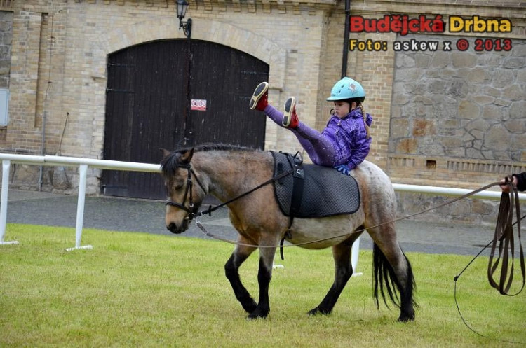 Den dětí v sedle ve Dvoře Vondrov