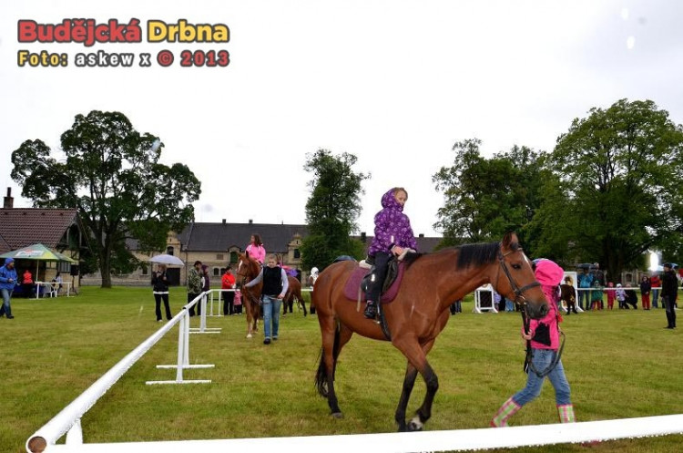 Den dětí v sedle ve Dvoře Vondrov