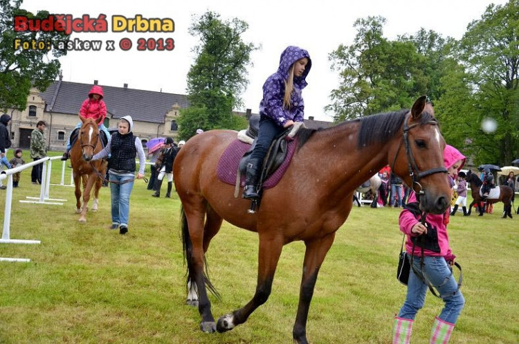 Den dětí v sedle ve Dvoře Vondrov