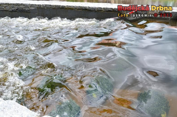 Propusť byla osazena kartáči, které zpomalí průtok vody