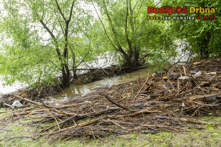 Povodně v Českých Budějovicích