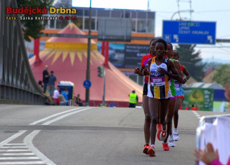 Mattoni 1/2Maraton České Budějovice 2013