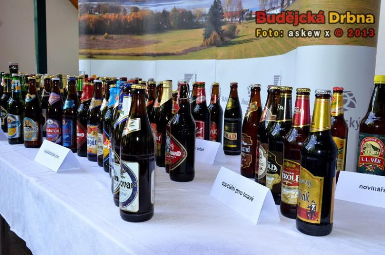 Slavnosti piva 2013