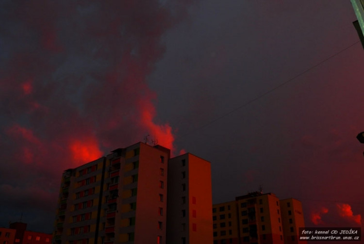 Sídliště Máj. Kristýna Bidařová