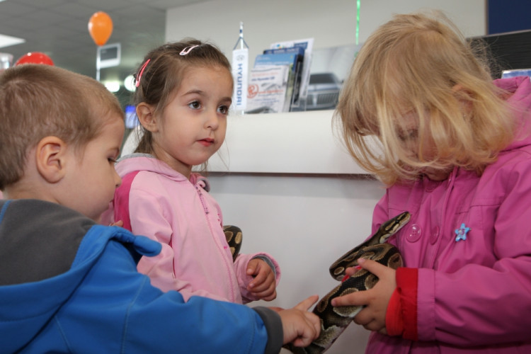 Den dětí v autosalonu HYUNDAI - Fischer CZ