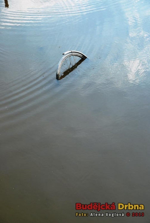 Umění, které odkryla voda...