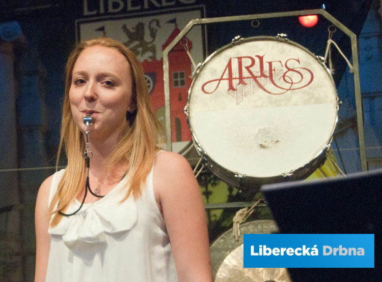 Liberecký jarmark 2013