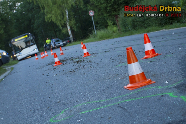 Srážka osobního automobilu s koněm v Šindlových Dvorech