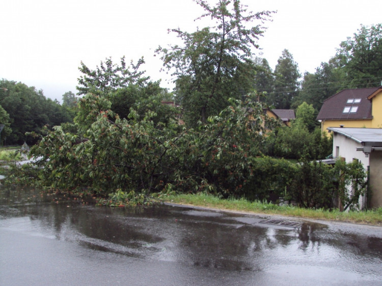 U Křižovatky Obloukové a Kateřinské ve Stráži pozor na spadlou třešeň