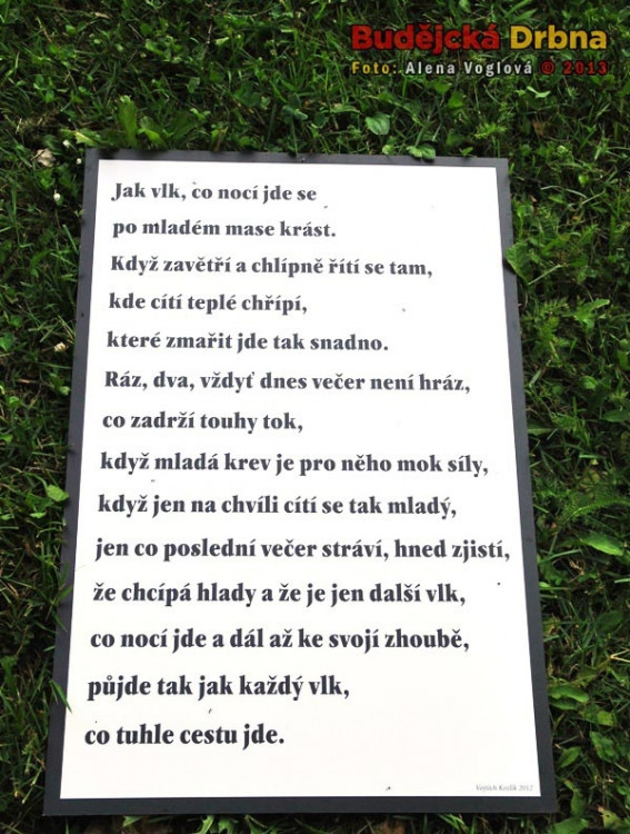 Básně hozené v trávě