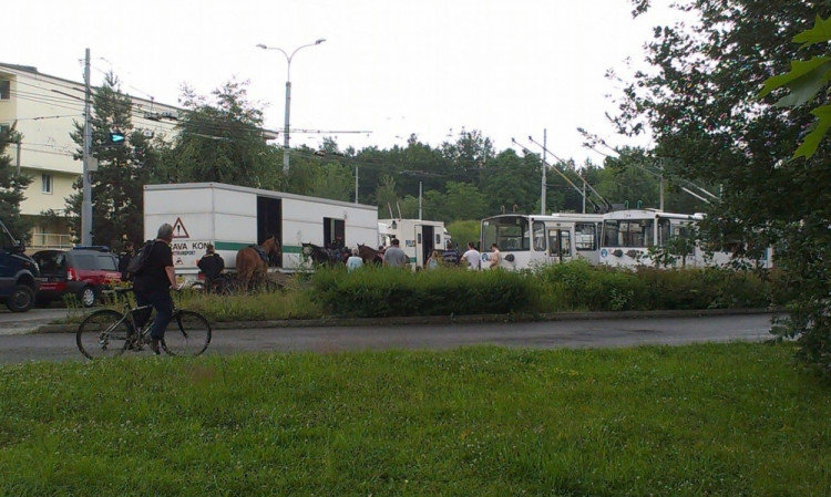 Demonstrace 2 v Českých Budějovicích, sídliště Máj, foto: Zuzana Wágnerová