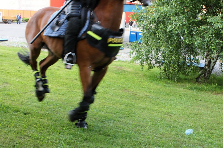 Demonstrace 2 v Českých Budějovicích, sídliště Máj, pád fotografa do křoví :-)