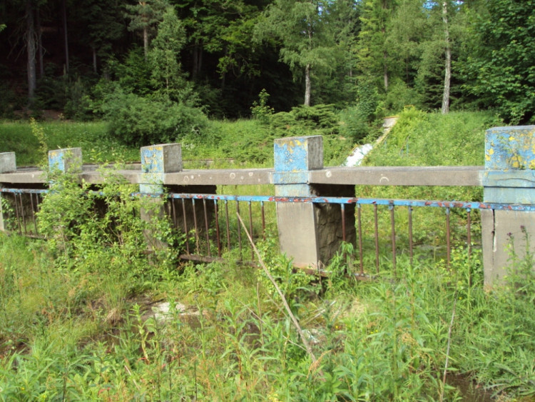 Pohled z bazénu por plavce k brouzdališti