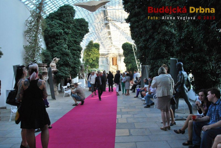 Skupinky lidí diskutovali u poháru vína či čaje