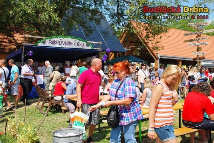 Nebylo téměř nikoho, kdo by nepozřel něčeho dobrého z malých modrých plodů