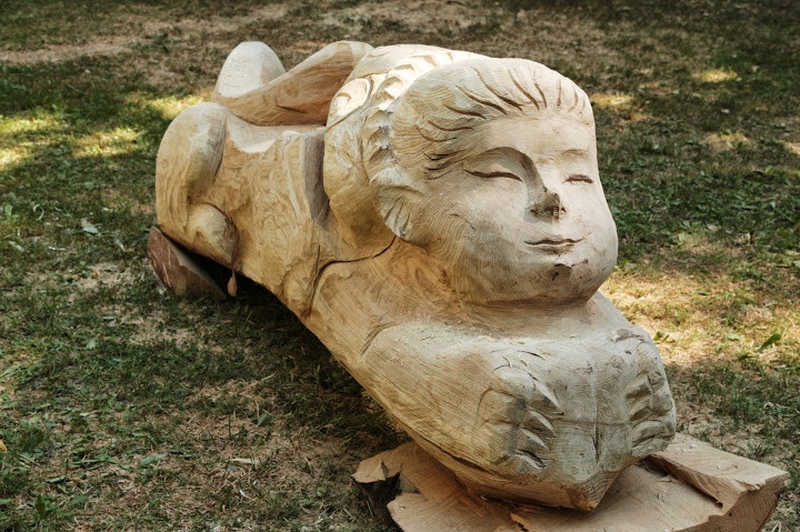 9. ročník dřevosochání Etnořez 2013